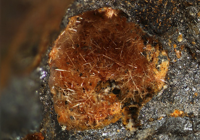 Nealite - RRUFF