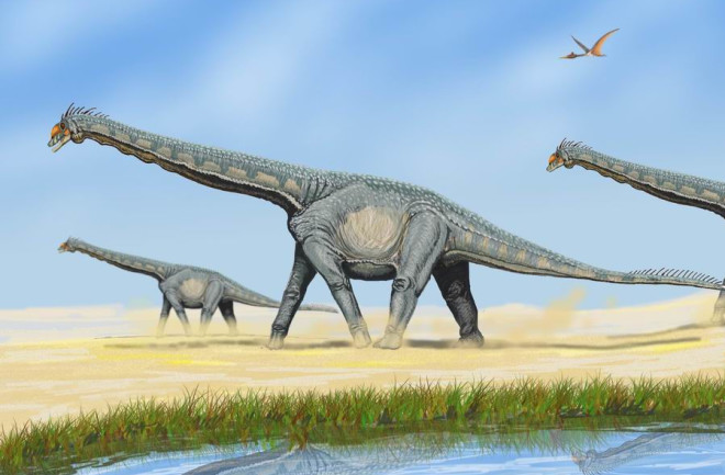 Alamosaurus Sauropod - Wikimedia