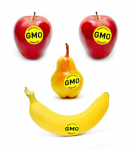 smileycropGMO-268x300.png