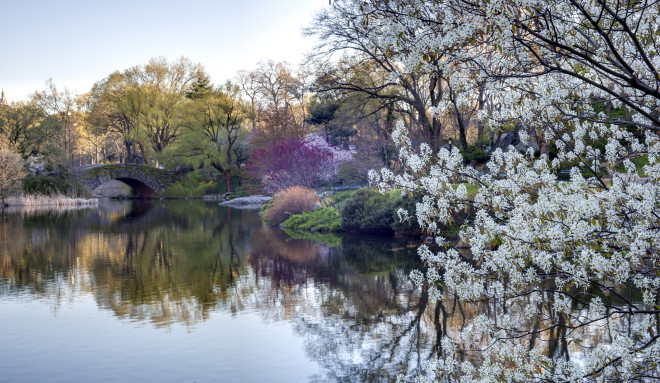 Central Park, New York City, Spring - John A. Anderson Shutterstock 100166354