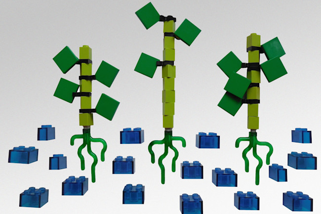 lego-plant1.jpg