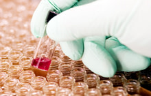 dna-sample.jpg