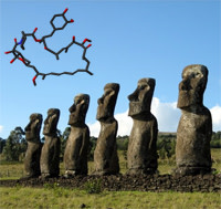 Rapamycin.jpg