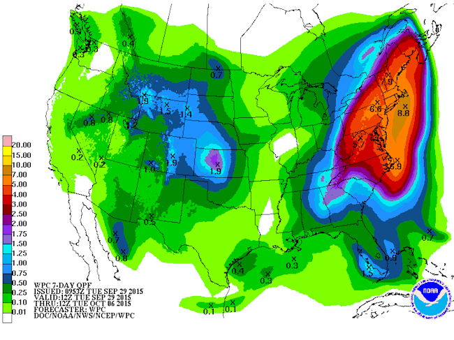 Precip-forecast.gif