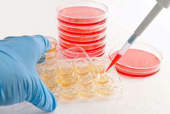 cell-culture.jpg