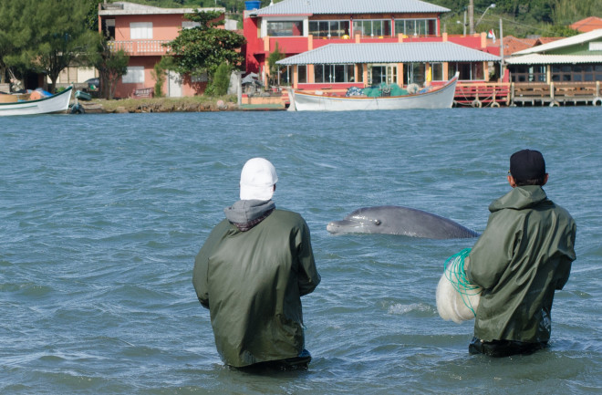 shutterstock_517914529_dolphin_fishermen_laguna_sm.jpg