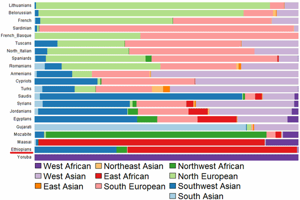 The Genetic Affinities Of Ethiopians | Discover Magazine