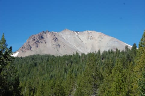DSC_0010-482x320.jpg