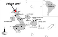 VolcanWolf.jpg