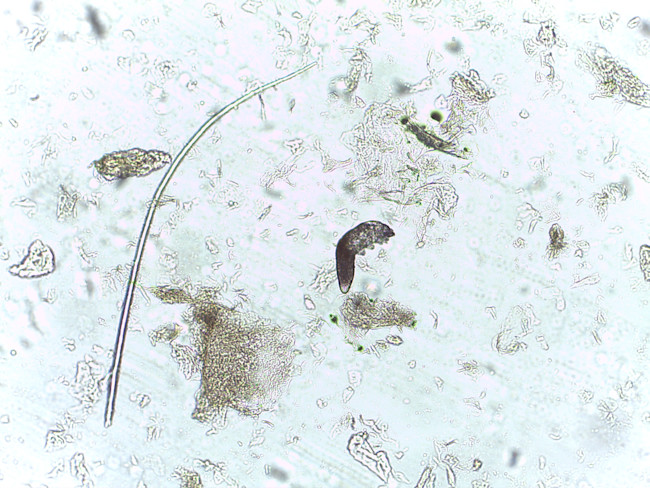 126_100x_2.jpg