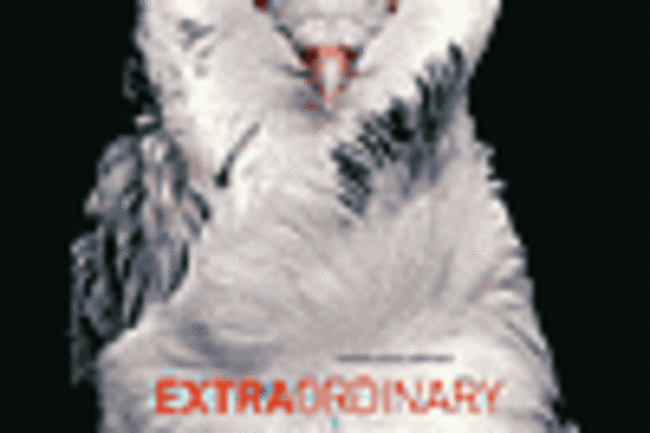 7077820.gif
