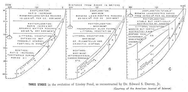 linsley-succession600.jpg
