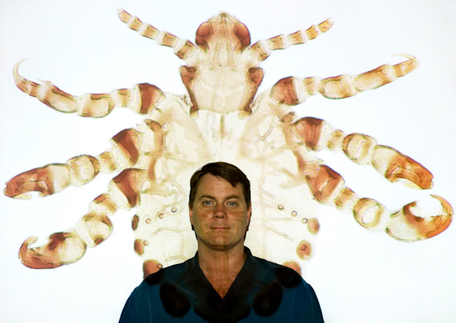 David Reed - Florida Museum of Natural History