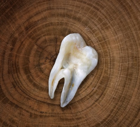 real tooth