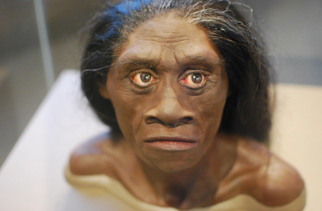 Homo Floresiensis hobbits - flickr