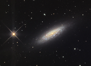 noao_ngc6503.jpg