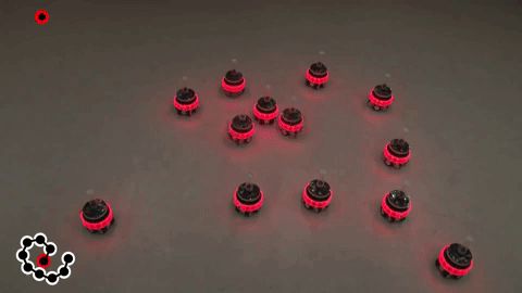 social-giphy.gif