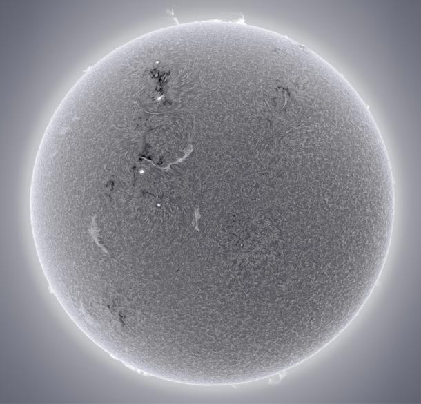 alanfriedman_SunJuly292012.jpg