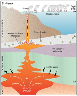 Tiny Fossils Hint at Canary Islands' Volcanic Origins | Discover Magazine