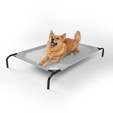 The 8 Best Cooling Dog Beds of 2024