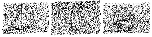 Snowy-images.jpg