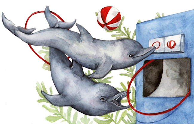 dolphin
