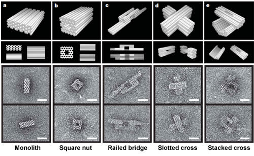 DNA-origami-electron-micros.jpg