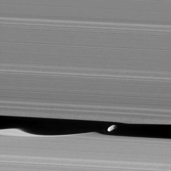 Daphnis inside Saturn's Rings - NASA