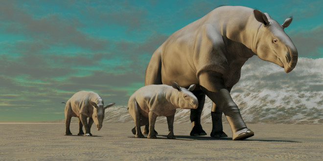 3 Giant hornless rhinos (Paraceratherium)