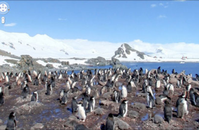 google street view goes to antarctica