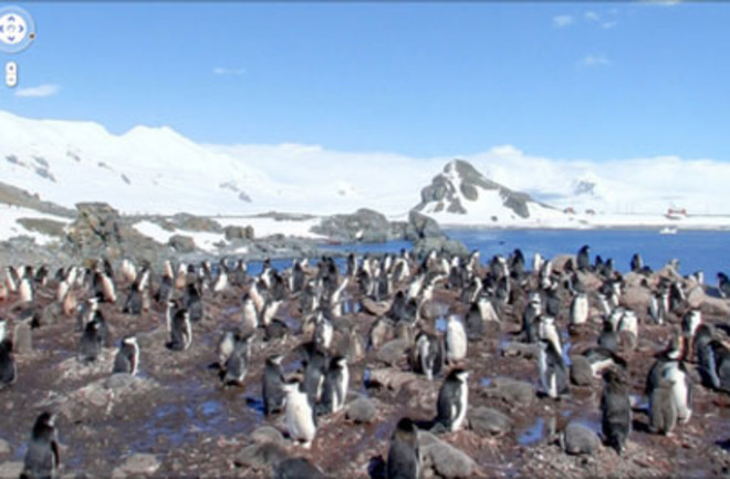 penguins-latlong.jpg