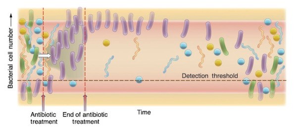 antibiotics-graph6001.jpg