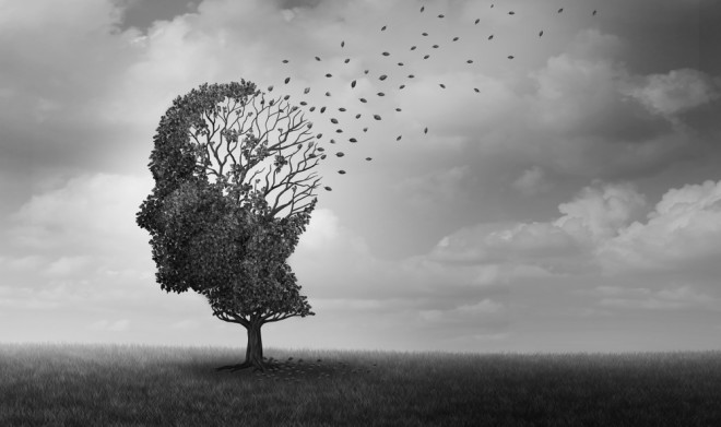 Alzheimer's disease conceptual