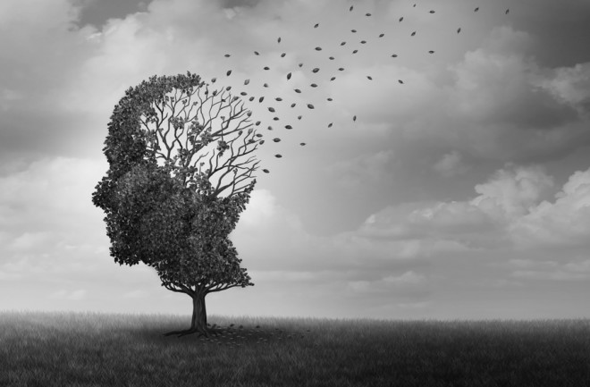 Alzheimer's disease conceptual