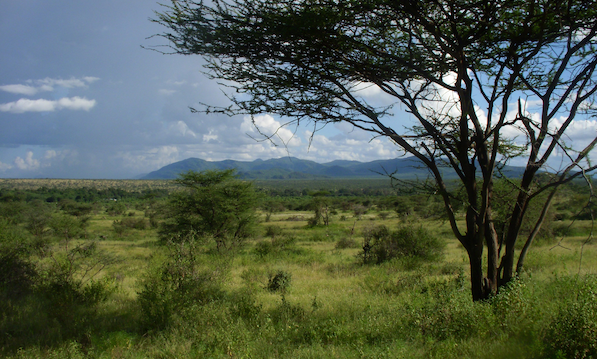 savanna-wider.png