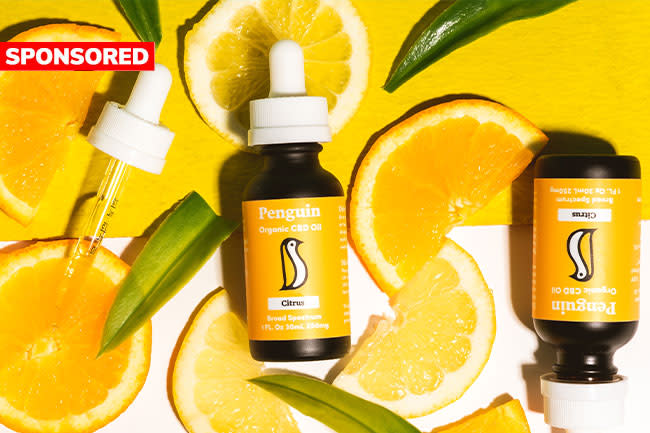Reasons to love Penguin CBD Oil - Discover Magazine penguinoil - Reasons to love Penguin CBD Oil - Discover Magazine