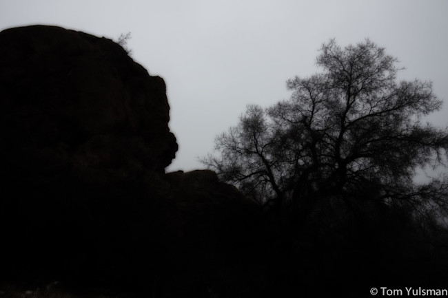 Rocks-and-trees-1024x682.jpg