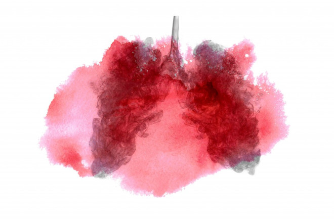 Lungs Art - Shutterstock