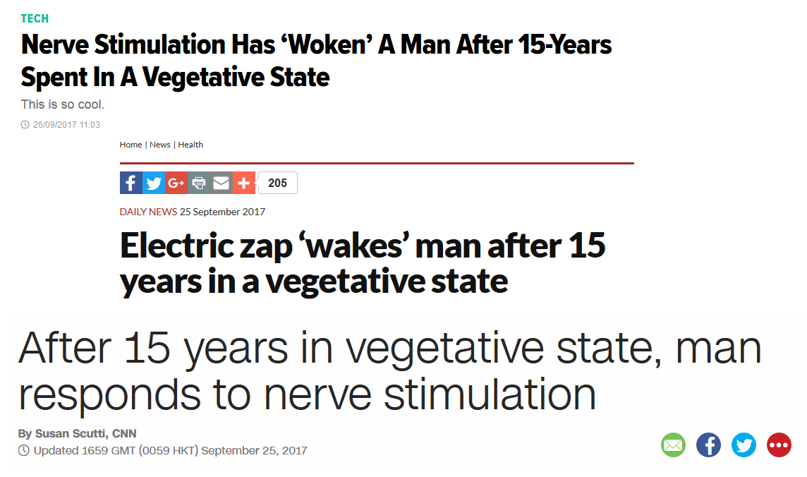 vagus_vegetative.png