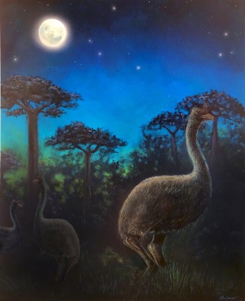 Giant nocturnal elephant birds are shown foraging in the ancient forests of Madagascar at night. CREDIT John Maisano for the University of Texas at Austin Jackson School of Geosciences