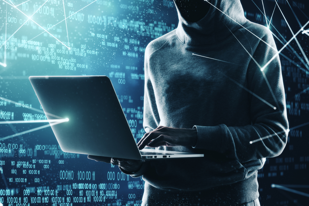 How Hackers Take Down Websites | Discover Magazine