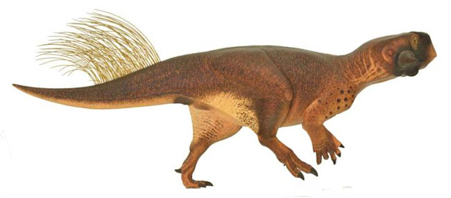 123580_web.jpg