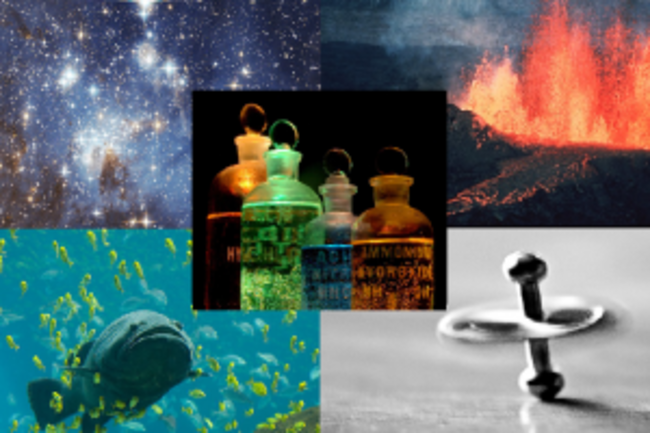 NaturalScienceMontage-300x213.png