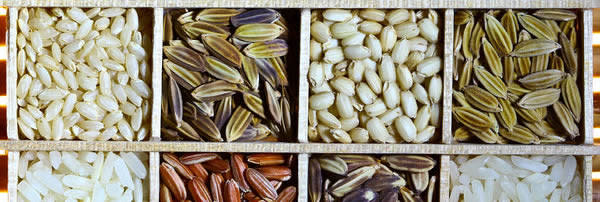 400px-Rice_diversity.jpg