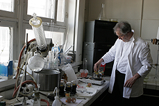 egg-3.jpg