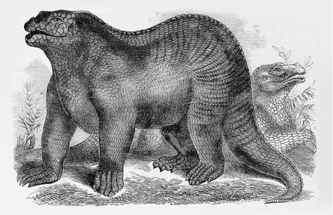  Iguanodon 1859 - Biodiversity Heritage Library