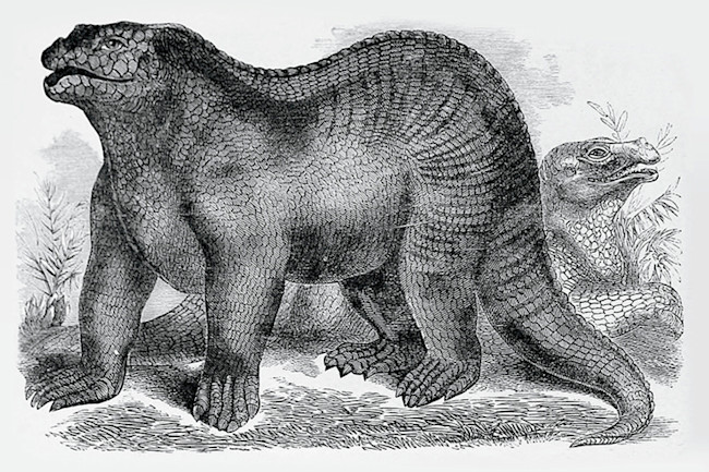 The Many Iterations of Iguanodon