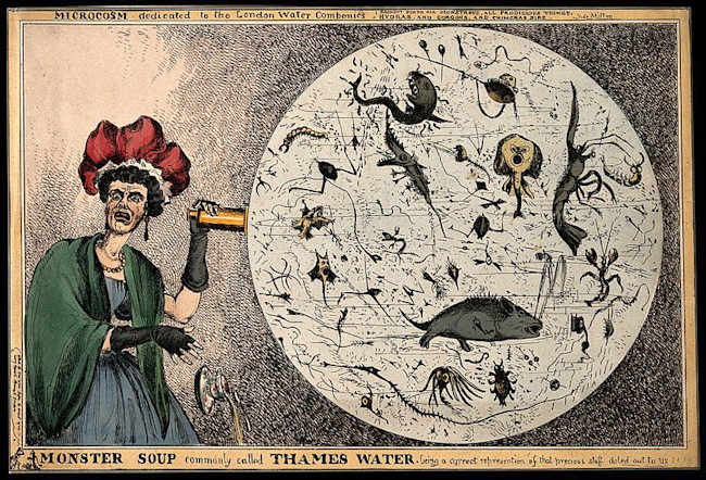 An 1828 etching by Wililam Heath, "Monster Soup commonly called Thames Water." In the midst of an emerging cholera outbreak from abroad, concerns about the hygiene and purity of the River Thames mounted. revealing the impurity of London drinking water. Image: W. Heath, 1828. Source: Wellcome Collection. Click for source.
