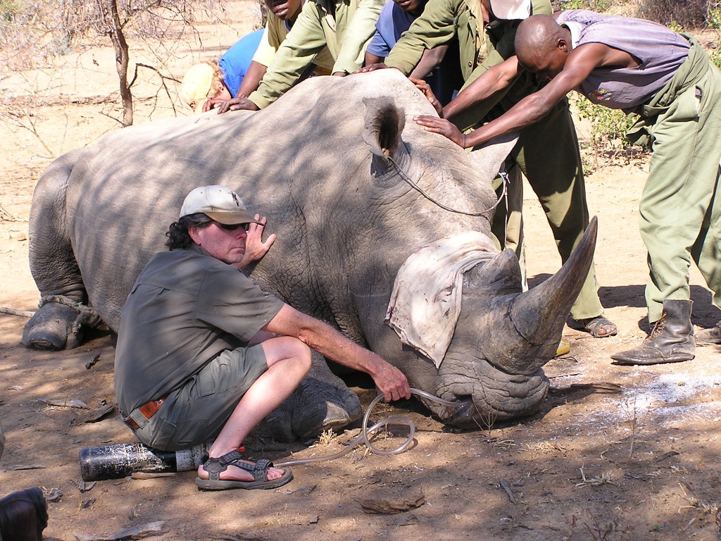 Running-with-Rhinos-Ed-Warner-with-Rhino.JPG-1024x768.jpeg
