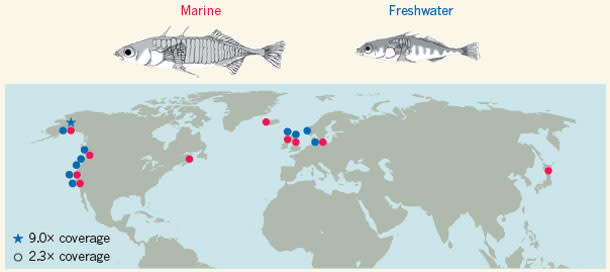 Stickleback-worlds.jpg